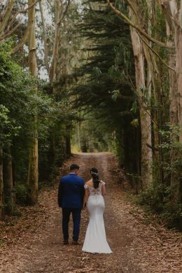 Ellena Vestidos Encaje 10