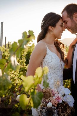 Ellena Vestidos Encaje 03